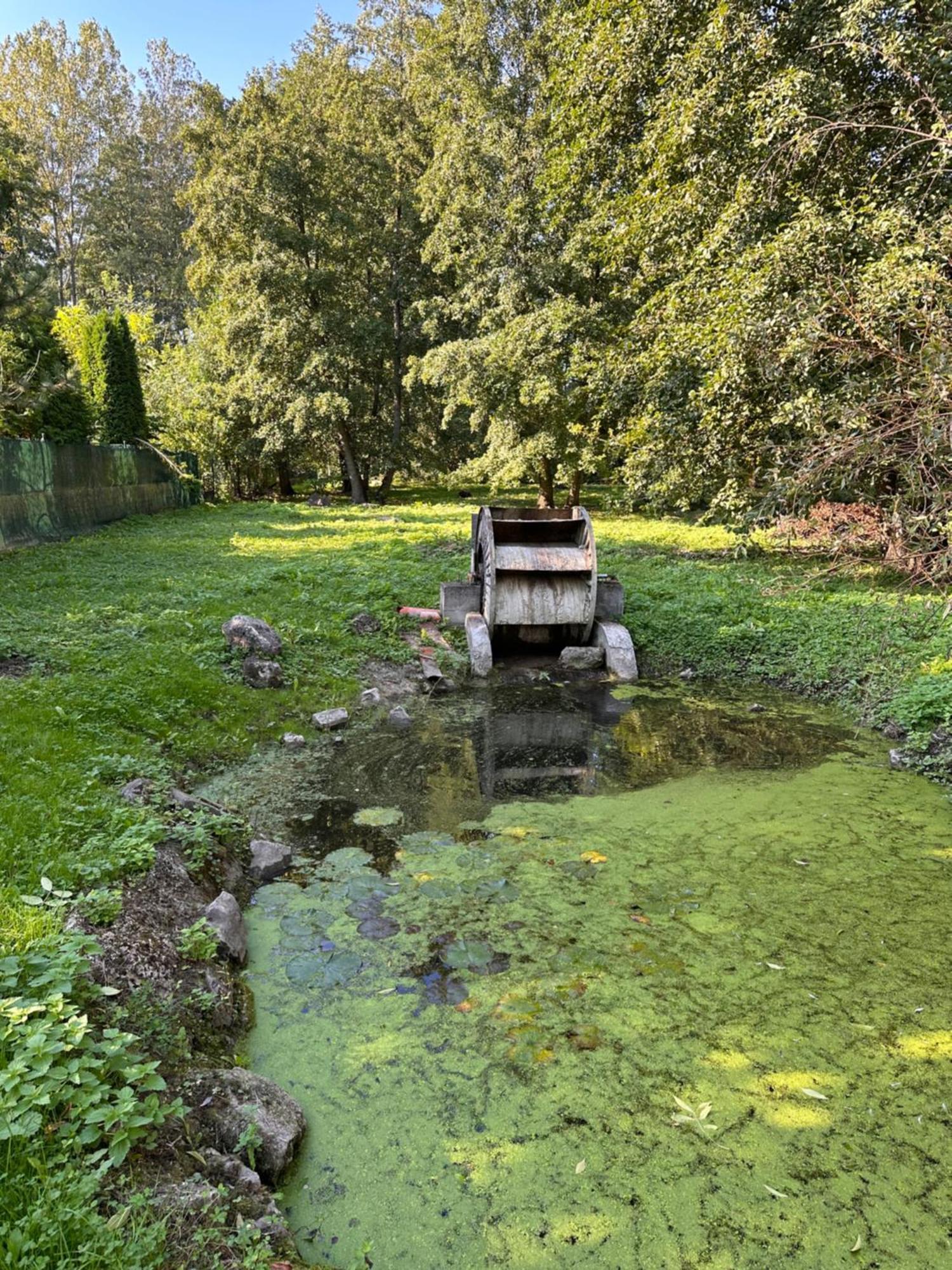 Príjemný byt v srdci Dechtíc Dechtice Exterior foto